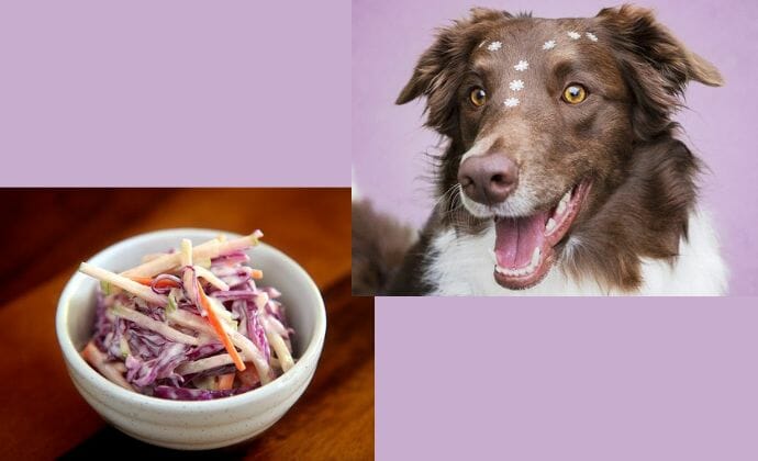 What Is Coleslaw Made of?