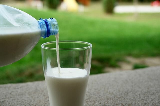 What is Lactose?