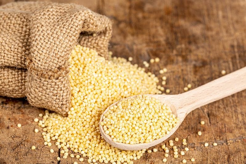 Millet Cereal Grain in Burlap Sack