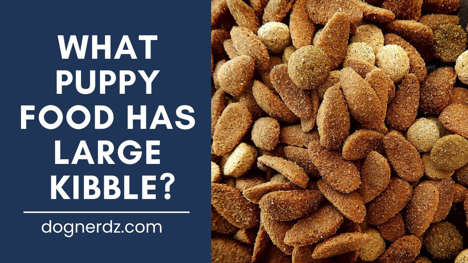 what puppy food has large kibble?