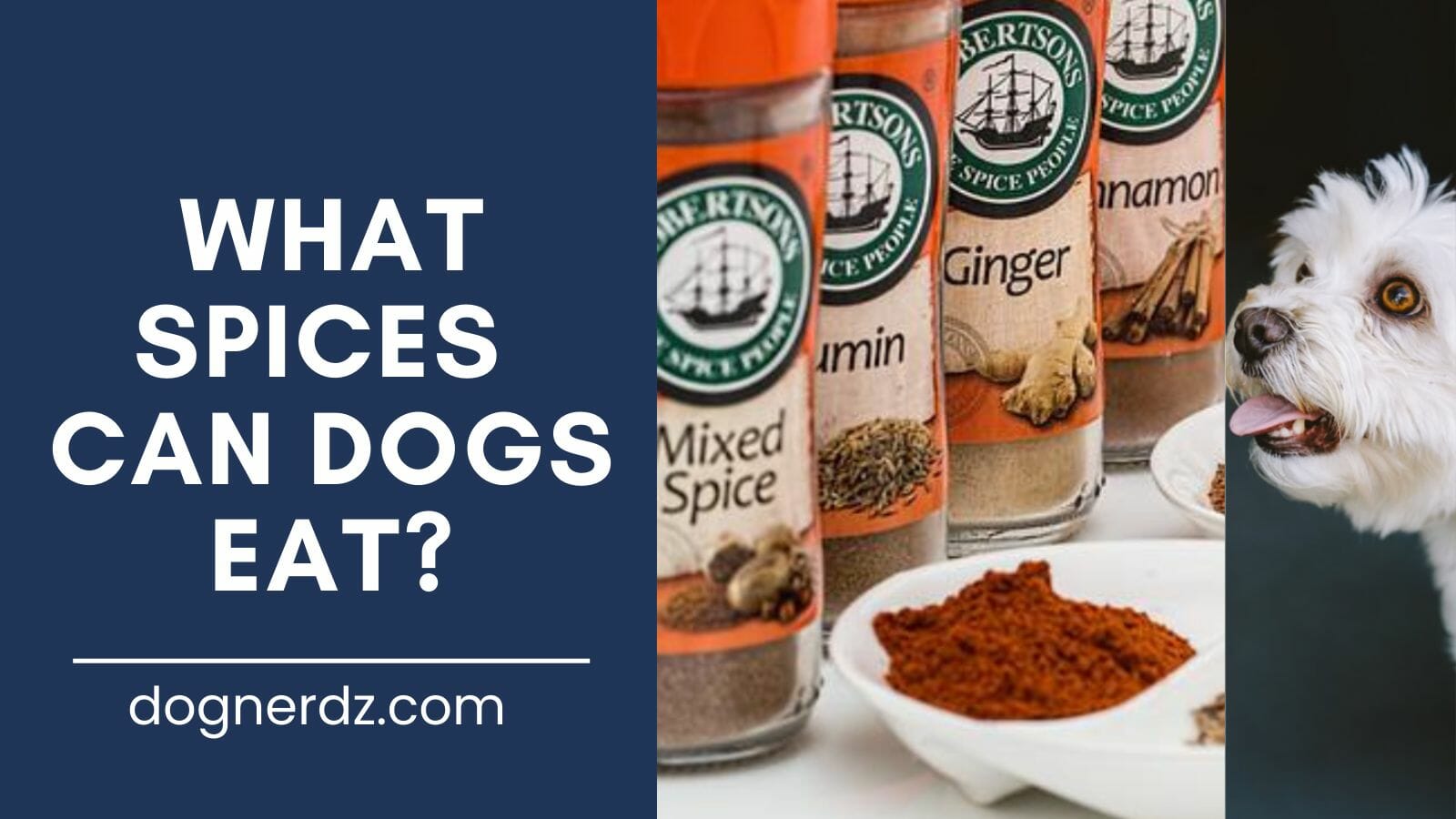 what spices can dogs eat?