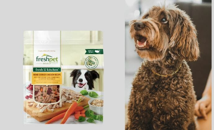 where is freshpet food made?