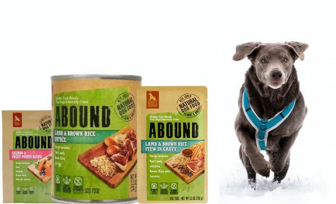 where to buy abound dog food