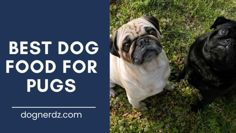 10 Best Dog Food for Pugs in 2024