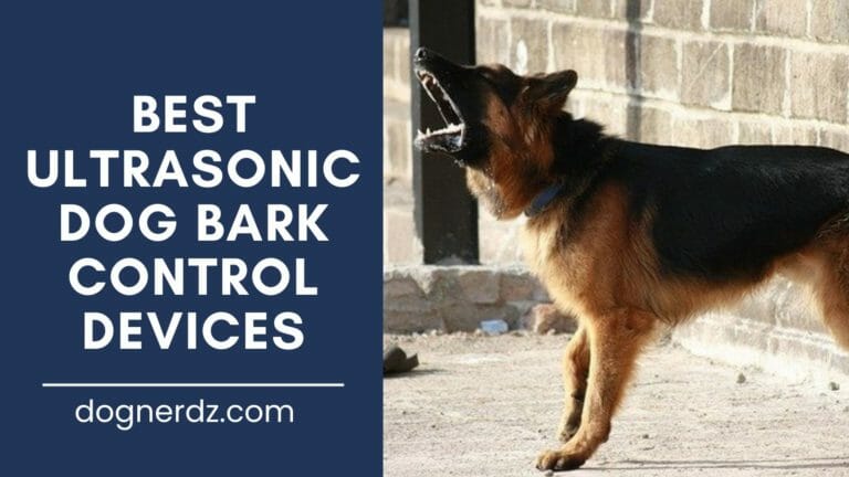 review of the best ultrasonic dog bark control devices