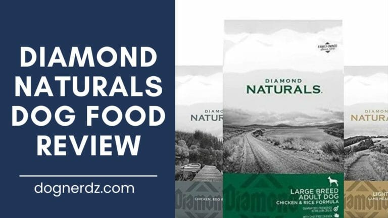 Diamond Naturals Dog Food Review in 2022