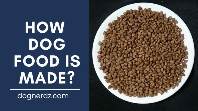 How Dog Food Is Made?