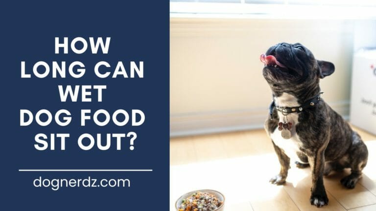 How Long Can Wet Dog Food Sit Out?