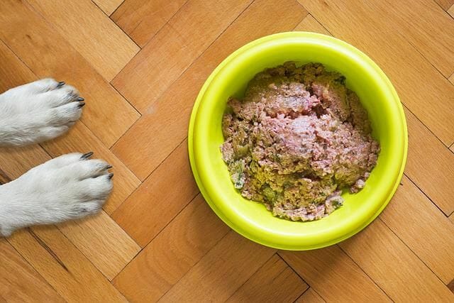 wet food, dry food, or a mix of both on a dog food bowl