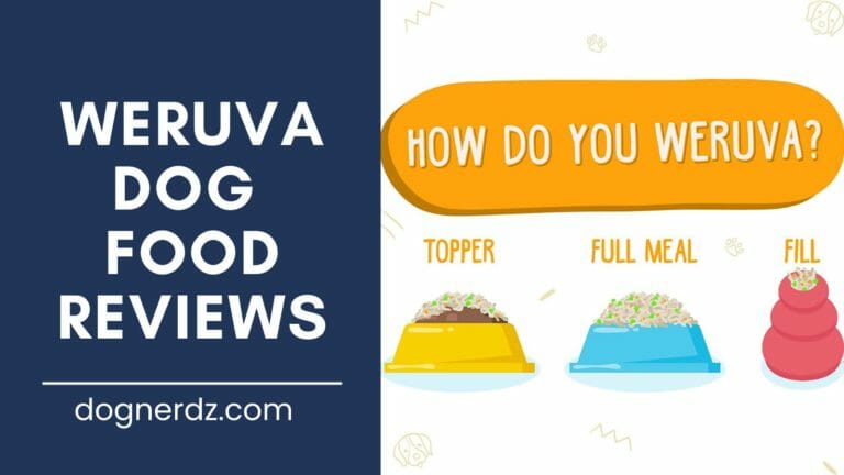 reviews of the best weruva dog food