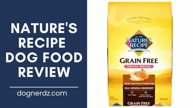 Nature’s Recipe Dog Food Review in 2023
