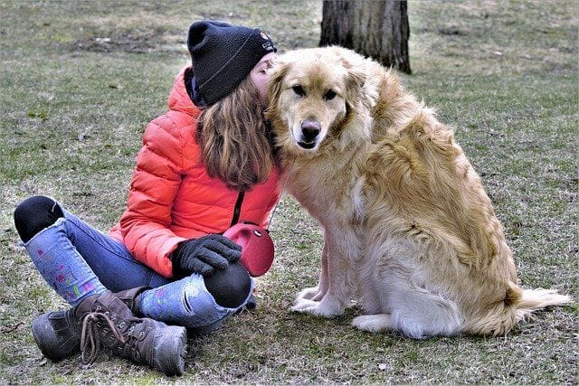 Friendly And Loving Golden Retriever With A Woman