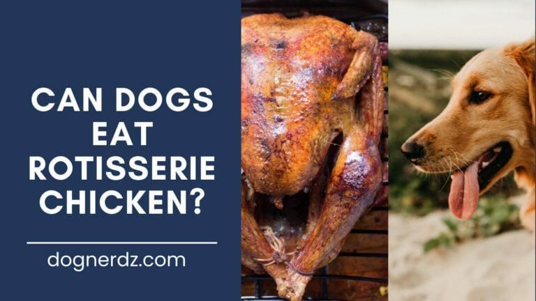 dogs can eat rotisserie chicken