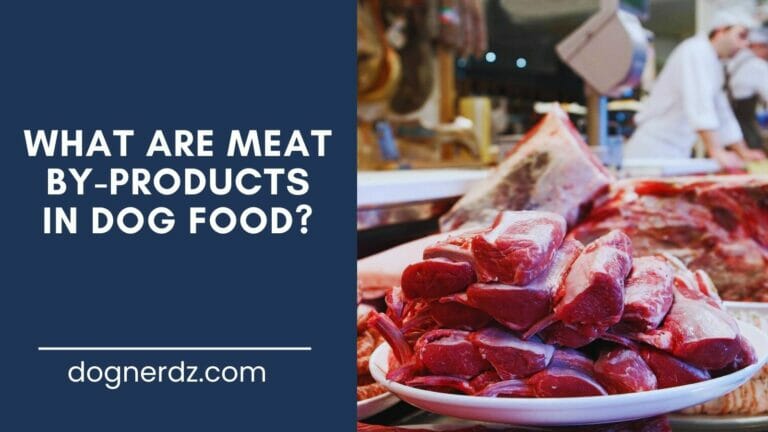 What are Meat by-products in Dog Food?